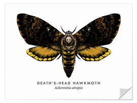 Wall sticker Death's-head hawk moth