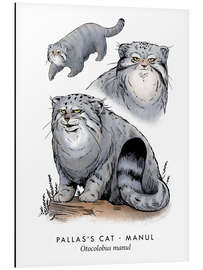 Tableau en aluminium Pallas's cat