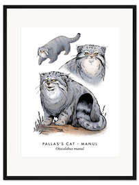 Gerahmter Kunstdruck Pallaskatze