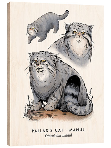 Hout print Pallas's cat