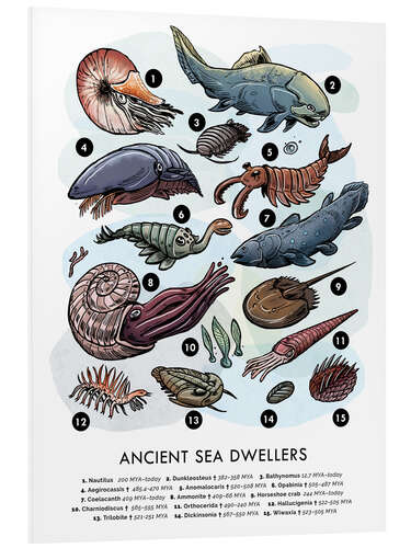 Foam board print Ancient Sea Dwellers