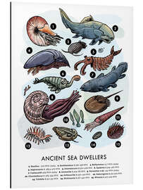 Magnettafel Uralte Meeresbewohner (englisch)
