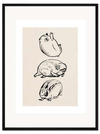 Gerahmter Kunstdruck Drei Frösche