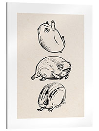 Gallery print Three frogs