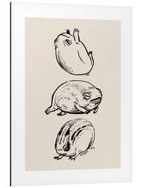 Magnettafel Drei Frösche