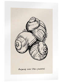 Akryylilasitaulu Burgundy snails