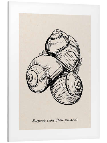 Aluminiumsbilde Burgundy snails