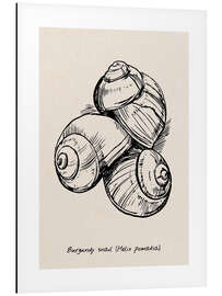 Stampa su alluminio Burgundy snails