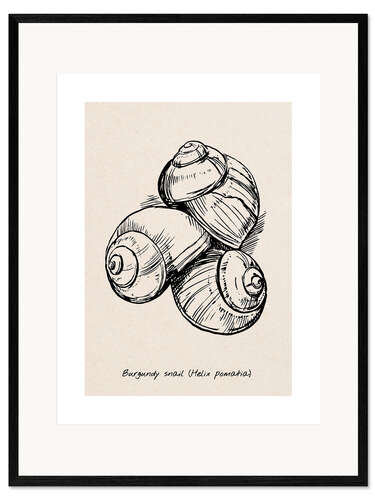 Ingelijste kunstdruk Burgundy snails