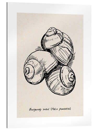 Gallery print Burgundy snails