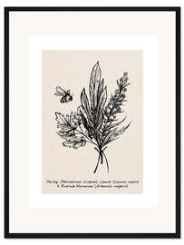 Gerahmter Kunstdruck Petersilie, Lorbeer und Beifuß