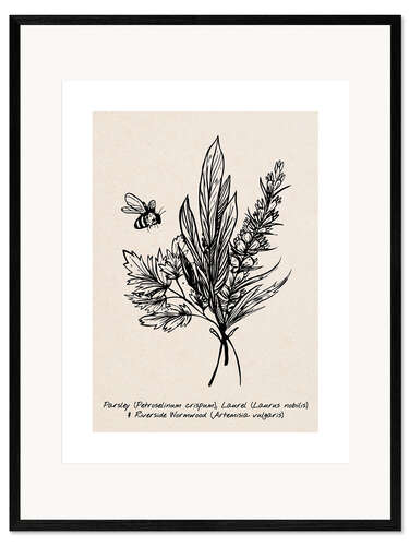 Stampa artistica con cornice Parsley, Laurel and Riverside wormwood