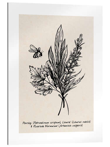 Gallery print Parsley, Laurel and Riverside wormwood