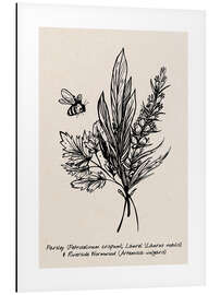 Magnettafel Petersilie, Lorbeer und Beifuß