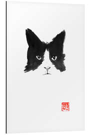 Aluminium print The cat