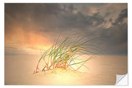 Wall sticker Dune grass in the sunset