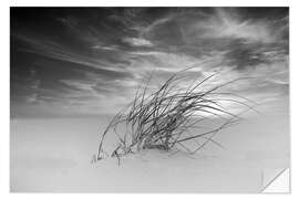 Wall sticker Dune grass in the wind