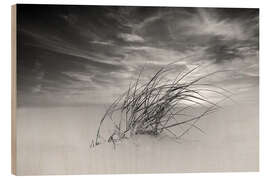 Wood print Dune grass in the wind