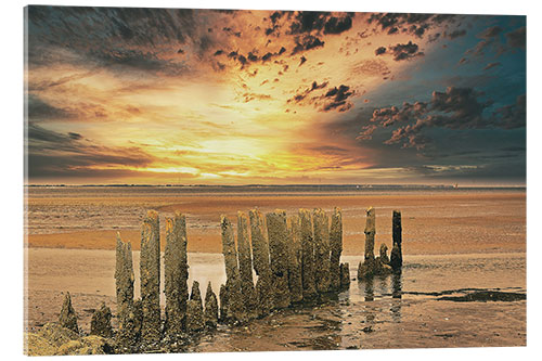 Tableau en verre acrylique Groynes on the North Sea in sunset