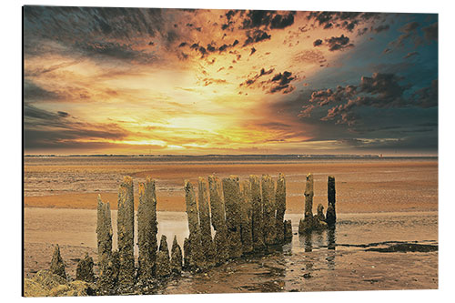 Aluminium print Groynes on the North Sea in sunset