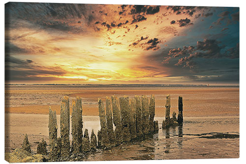 Lerretsbilde Groynes on the North Sea in sunset