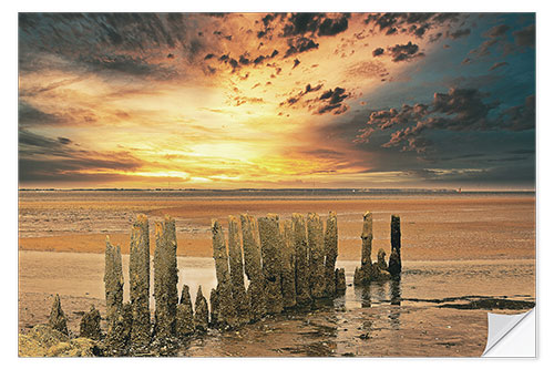 Naklejka na ścianę Groynes on the North Sea in sunset