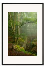 Gerahmter Kunstdruck Schöner nebliger Morgen in der Teufelschlucht, Deutschland