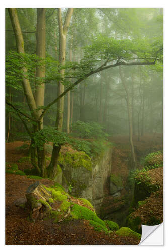 Sticker mural Beautiful misty morning in the Teufelschlucht, Germany