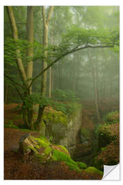 Sticker mural Beautiful misty morning in the Teufelschlucht, Germany