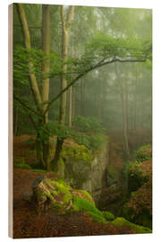 Puutaulu Beautiful misty morning in the Teufelschlucht, Germany