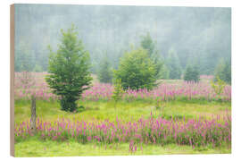 Trätavla Fields of Foxglove in the High Fens