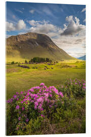 Akryylilasitaulu Wild rhododendron in the Highlands, Scotland