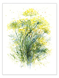 Póster Dill Flowers