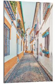 Aluminium print Cordoba Street