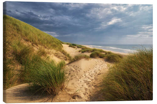 Lærredsbillede The Dutch North Sea coast