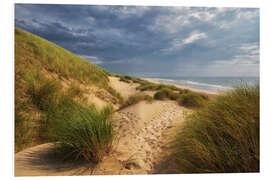 Foam board print The Dutch North Sea coast