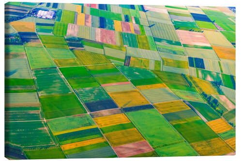 Canvas print Green fields near Mainz and Wiesbaden