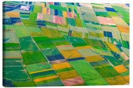 Canvas print Green fields near Mainz and Wiesbaden