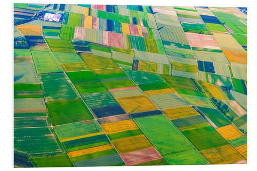 Tableau en PVC Green fields near Mainz and Wiesbaden