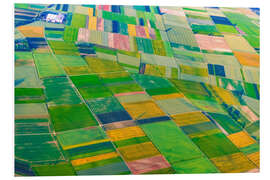 Tableau en PVC Green fields near Mainz and Wiesbaden