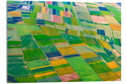 Gallery print Green fields near Mainz and Wiesbaden