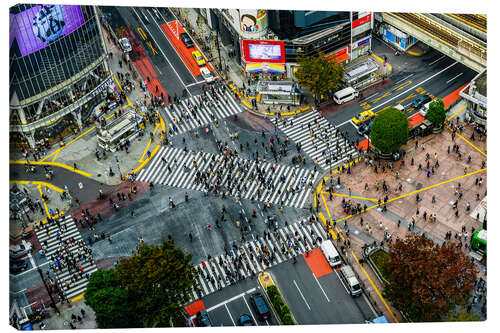 Canvas print Shibuya Crossing, Tokyo