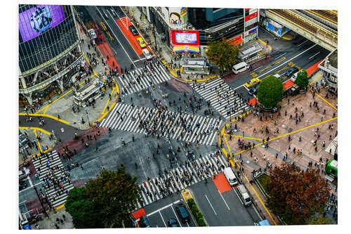 Foam board print Shibuya Crossing, Tokyo