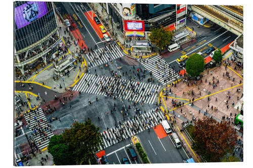 Gallery print Shibuya Crossing, Tokyo