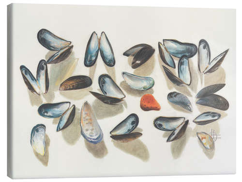 Tableau sur toile Seashells