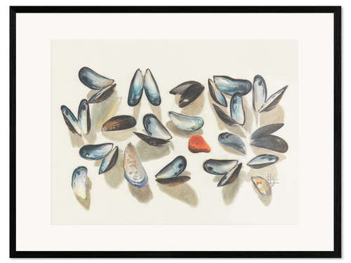 Kehystetty taidepainatus Seashells