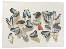 Magnettafel Muscheln