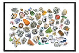 Gerahmter Kunstdruck Strandschätze