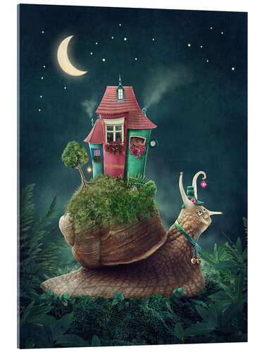 Tableau en verre acrylique Snail with home at nighttime