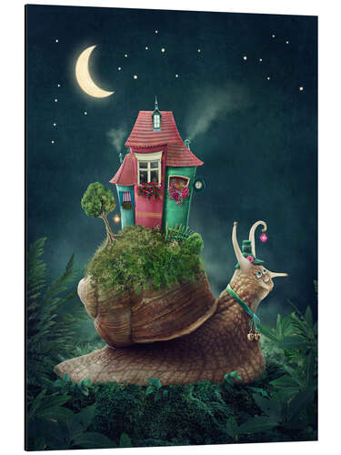 Aluminiumsbilde Snail with home at nighttime